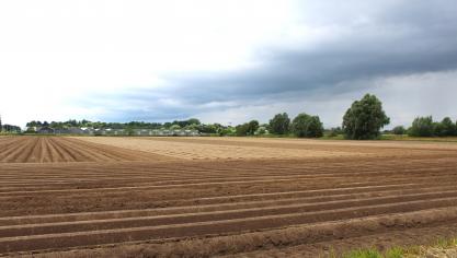 Na de omstreden verkoop van 450 ha landbouwgrond aan een vennootschap gelinkt aan Fernand Huts, wil Gent inzetten op een strategisch pachtbeleid voor haar resterende landbouwgronden.