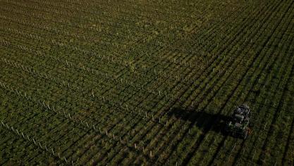 Nature & Progrès en PAN Europe roepen autoriteiten op om snel actie te ondernemen tegen TFA-vervuiling door alle pesticiden die PFAS bevatten te verbieden.