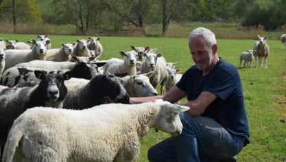 De schapen en lammeren komen naar John Vermetten toegelopen wanneer hij ze roept.