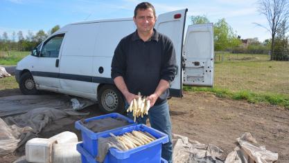 Teler Dirk Lievens bij enkele bakken vers geoogste asperges.