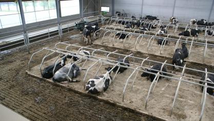 Veehouders kunnen zelf de PAS-referentie 2030 voor hun bedrijf berekenen.