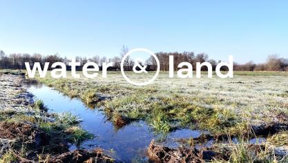 Beeld van vloeiweiden in Lommel.