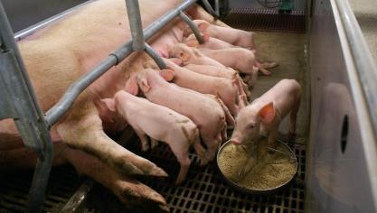 De totaal geëxploiteerde emissies mogen niet hoger zijn dan de vergunde emissies.