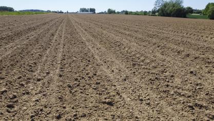 Ons land kreunt onder een lange droogte.