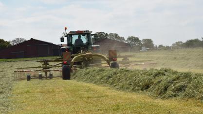 Gras wordt meestal gemaaid voordat er een bloem op komt en voordat de pollen kunnen ontstaan.