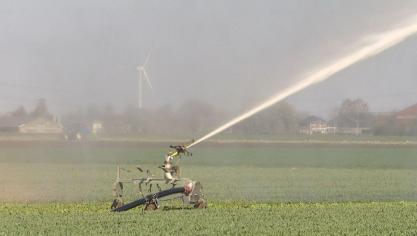 Land- en tuinbouwers hebben volgens Boerenbond prioritaire toegang tot water nodig.