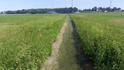 De droge weersomstandigheden zorgen voor een sterke daling van de waterpeilen in de onbevaarbare waterlopen in de provincie Antwerpen.