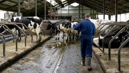 Door de stikstofproblematiek wordt er verwacht dat meer en meer landbouwers nood zullen hebben aan de diensten van Boeren op een Kruispunt.