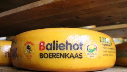 Vorig jaar werd ruim 137.400 ton kaas gemaakt in België.