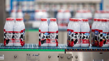 Gemiddeld drinken Vlamingen 33 l per jaar.