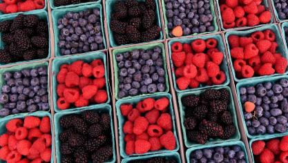 Aardbeien, blauwe bessen, bramen en frambozen krijgen een hippe boost met de Europese campagne ‘Een handje zomer’.