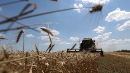 De graanprijzen daalden met 1,8% tegenover april.