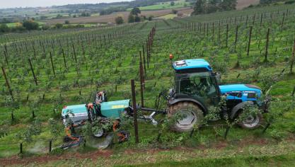 De RootWave F601 eWeeder voor boomgaarden, wijngaarden en fruitbomen biedt een volledige onkruidbestrijding zonder het gebruik van chemicaliën.