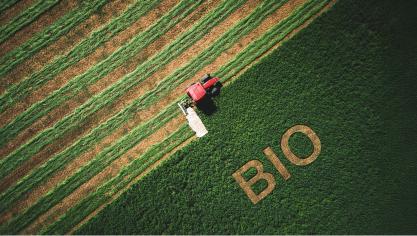 Omschakelen naar bioproductie is een werk van lange adem, met een niet zo evidente omschakelingsperiode.