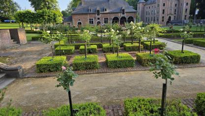 De stamrozentuin: een festijn voor oog en neus