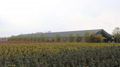 In vergelijking met het Nederlandse geurkader wordt het Vlaamse kader beschouwd als streng.