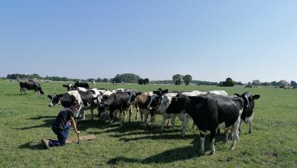 Met draagbare ‘gas analyzers’ maten onderzoekers de nettogasuitstoot rechtstreeks in het veld.