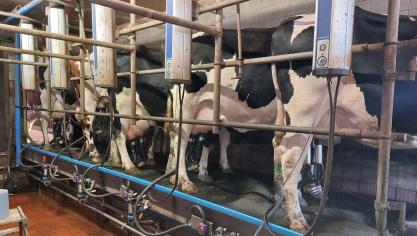 De Belgische zuivelsector staat op een scharniermoment stelt BCZ.