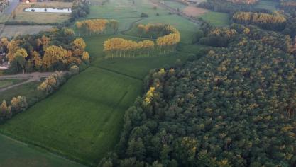 Er is nog geen akkoord over de subsidies aan gemeenten voor bosuitbreiding.