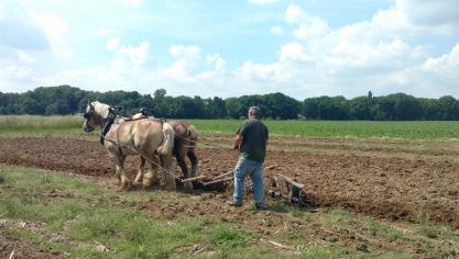 Vroeger duurde het 2,5 dagen om met paarden 1 ha land te ploegen, nu is dit slechts een kwestie van uren geworden.