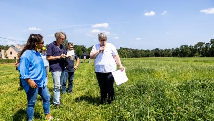 Op 17 juni vond er een persmoment plaats op 1 van de 3 Vlaamse proefvelden met kruidenrijk grasland.