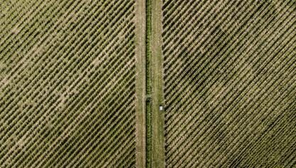 De landbouw- en bosbouwsector heeft de afgelopen jaren steeds minder koolstofdioxide opgeslagen en het is onwaarschijnlijk dat de koolstofput de komende jaren zal verbeteren.