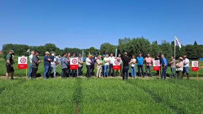 Limagrain wordt omschreven als een coöperatie  van en voor boeren