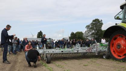 Wiedeggen spelen een belangrijke rol in de mechanische onkruidbestrijding.