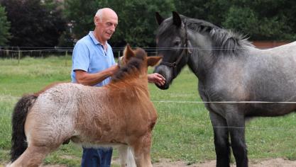 Fokkersvreugde in Evergem: Roland bij Wanda van de Kloosterdreef °2024 en haar broer Xander °2025 (v. Tuur van ’t Bruggeveld v. Vl-Br. x Mona van de Kloosterdreef).