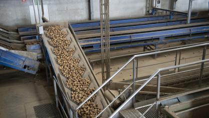 Aardappelproducten zijn een van de belangrijkste exportproducten van Vlaanderen.