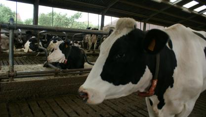 De investering van AIF moet de sensortechnologie van VOCSens beter ontsluiten voor de veehouderij.