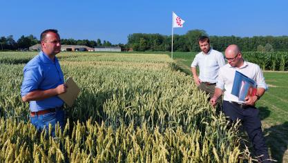 Sander Van Kerckhove, Wannes Dermaut en Thomas Truyen gaven toelichting op het demo-platform van Limagrain.