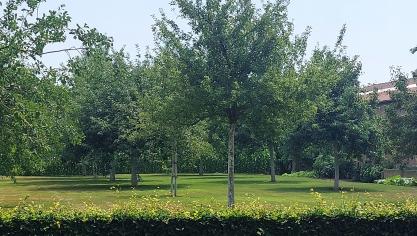 Hoogstammige fruitbomen dragenbij aan een duurzame landbouw die inzet op diversificatie, toerisme en korteketenproducten.