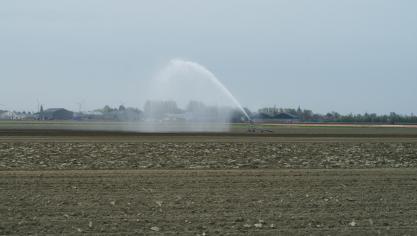 Het blijft droog in de provincie Antwerpen en de voorbije dagen was het ook uitzonderlijk warm.