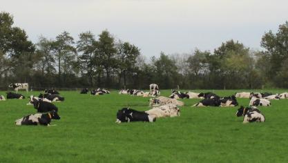 Wilde vogels en de import van Amerikaanse producten die rauwe melk bevatten, zijn potentiële routes voor de introductie van het hoogpathogene aviaire influenzagenotype (HPAI) in Europa.