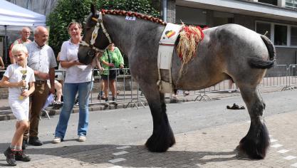 Dagkampioene Torhout Lobke van de Molenput, met voorzitter Marcel Wouters van de West-Vlaamse trekpaardenvereniging, Annelies De Brabander en haar zoontje.