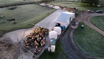 Nog nooit molken de Kiwi’s over mei zo hard. Dit komt omdat de marges voor het aankomende seizoen 2025/2026 er weer heel goed uitzien.