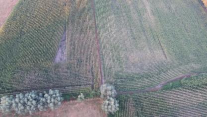 Volgens de conceptnota wordt 30.000 ha in Vlaanderen tot open ruimte herbestemd: 15.000 ha wordt natuur en 15.000 ha wordt landbouwgrond.