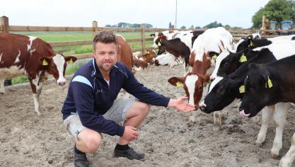 Jacob van Emst: “Na 7 tot 14 dagen gaan onze kalveren naar het kalverstrand, dat gecreëerd is naast de hellingvloerstal. In groepen van circa 20 dieren kunnen de kalveren heerlijk ronddartelen en met elkaar spelen.”