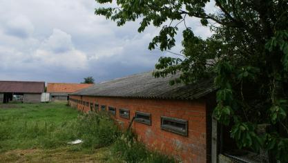 Landbouwers die dat wensen, kunnen ongebruikte mestputten gebruiken als wateropslag