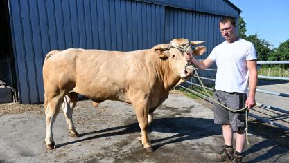 Henry-Jean Defgnée neemt met zijn Blondes deel aan verschillende Belgische veeprijskampen.