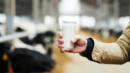 Om te verhinderen dat dieren besmet raken, kunnen melkveehouders op vrijwillige basis deelnemen aan het paratuberculoseprogramma.