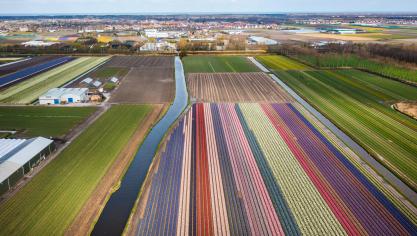 Bepaalde regio’s van Nederland behoren tot de duurste inzake landbouwgrondprijzen van de EU.