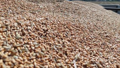 De billijkevergoeding is identiek voor alle rassen van dezelfde soort en kenteen lichte stijging tegenover vorig jaar, namelijk +0,25%.