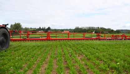 Met taakkaarten en de ‘spot spray’-techniek zijn er ook voor suikerbieten minder gewasbeschermingsmiddelen nodig.
