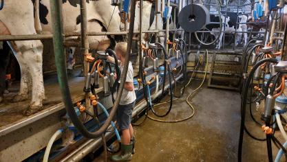Uit het jaarrapport van brancheorganisatie MilkBE blijkt dat ze opnieuw belangrijke stappen zetten om de Belgische zuivelketen verder te versterken.