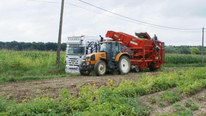 Belgapom deed geen notering op 29 augustus.