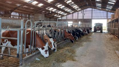 Vanaf 1 september verlopen alle aanvragen in verband met nutriëntenemissierechten (NER) helemaal digitaal.