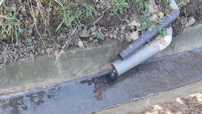 Je kunt niet langer een abstractie maken van het vele stikstofrijke afvalwater dat in ons oppervlaktewater geloosd wordt , stelt Mark Wulfrancke