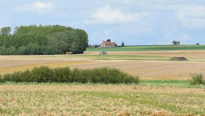 Doorheen het Vlaamse land staan heel wat woningen die geen bedrijfswoningen zijn en die toch in agrarisch gebied liggen.